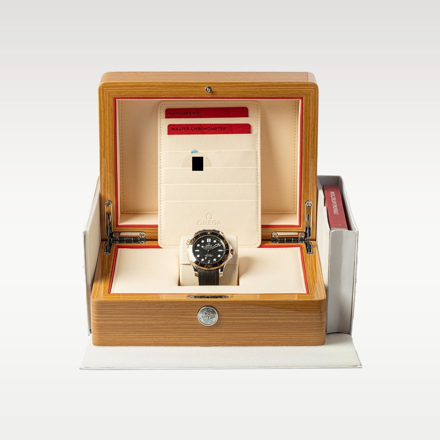 Seamaster 210.22.42.20.01.002