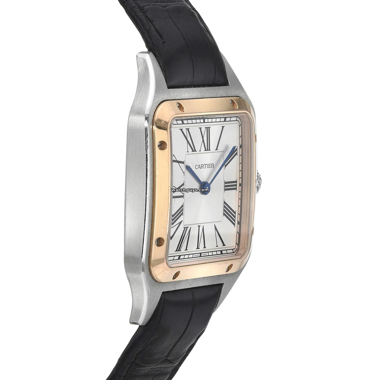 Santos Dumont Large W2SA0011