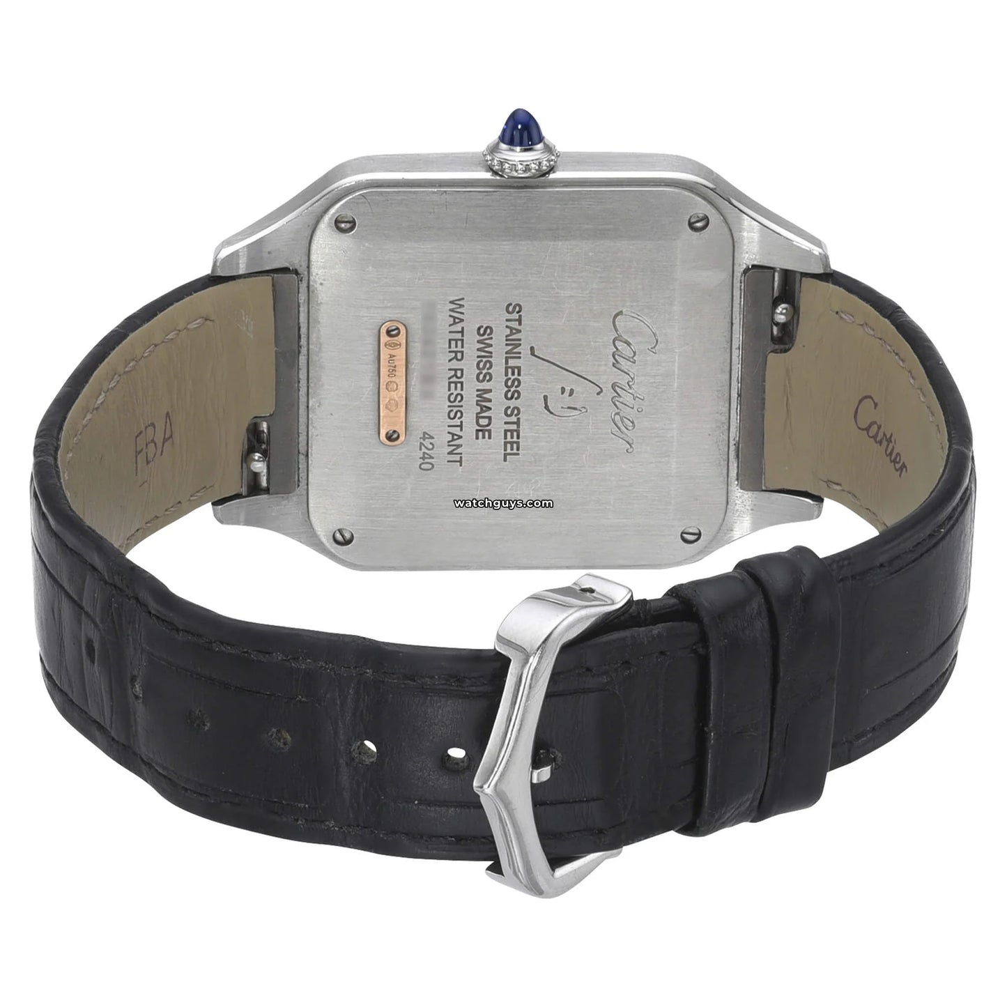 Santos Dumont Large W2SA0011