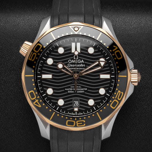 Seamaster 210.22.42.20.01.002