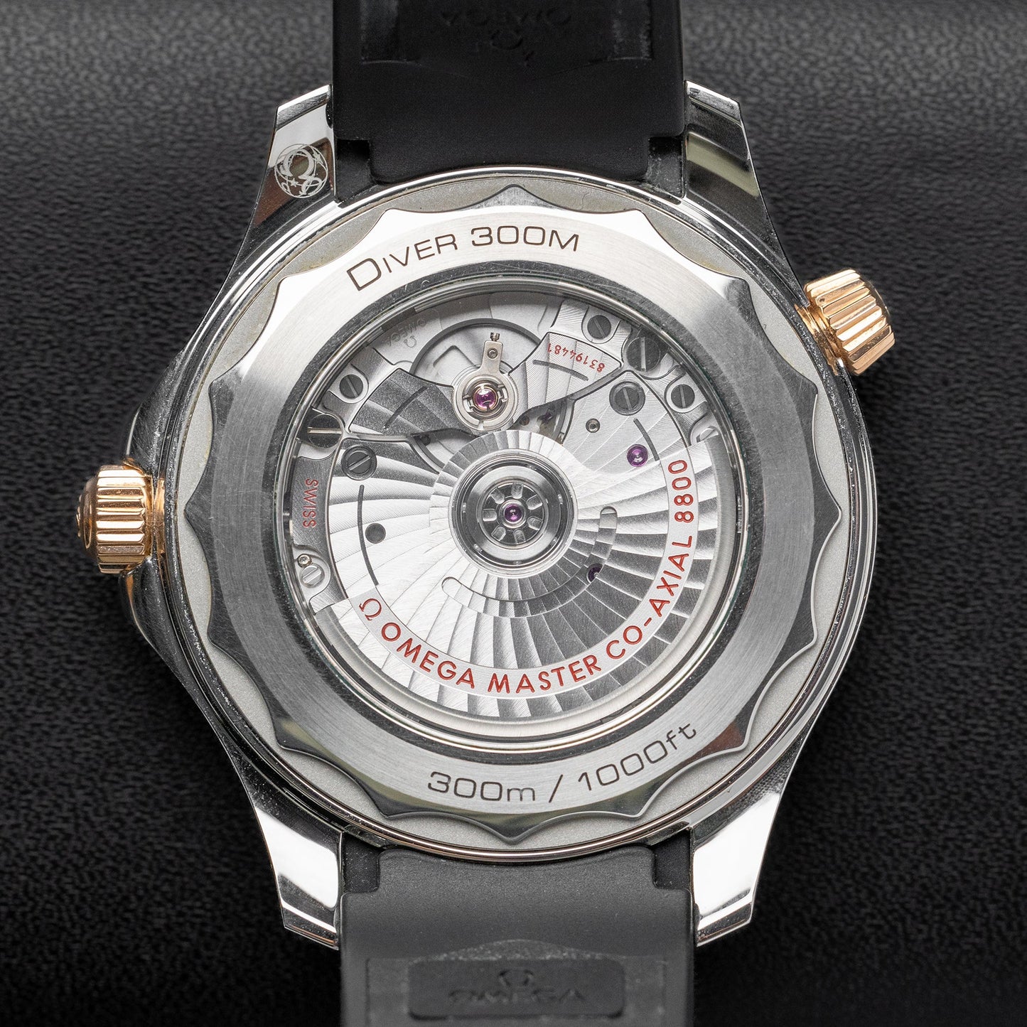 Seamaster 210.22.42.20.01.002