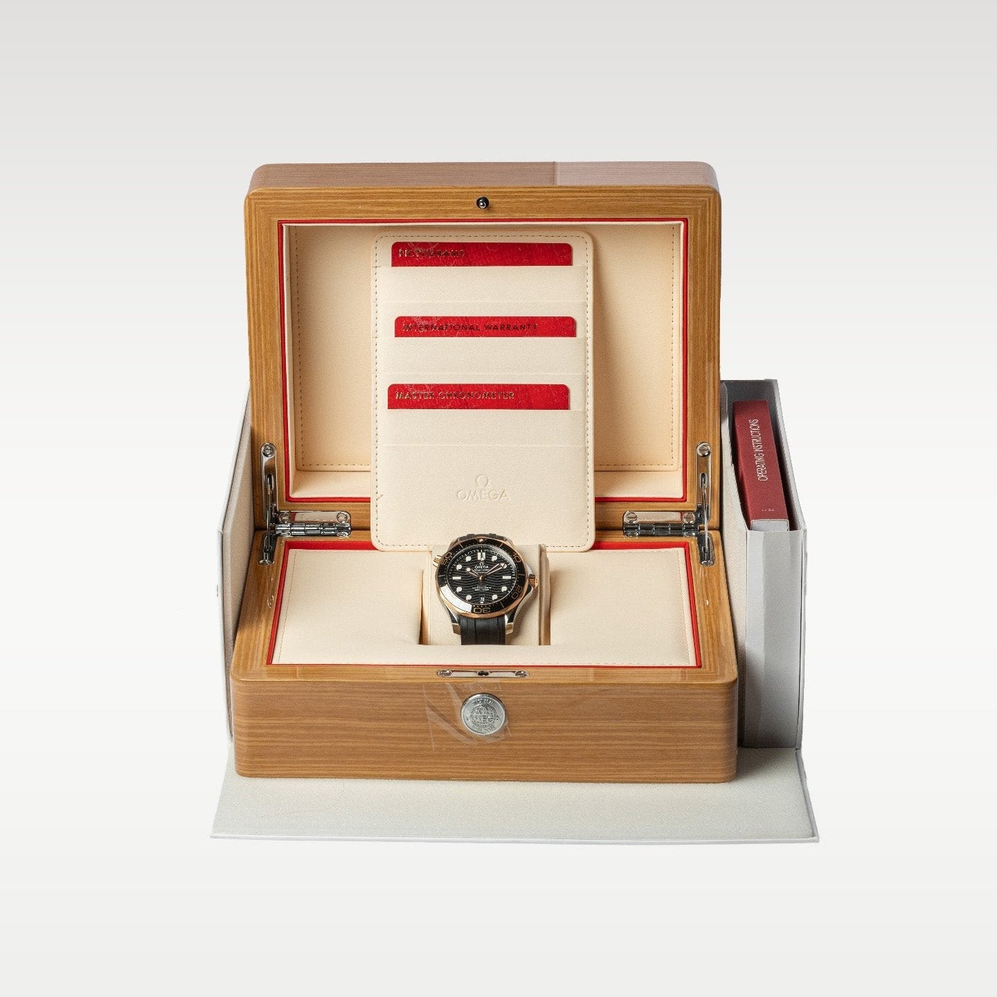 Seamaster 210.22.42.20.01.002