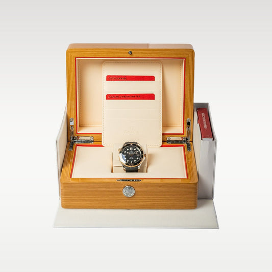 Seamaster 300 21022422001002