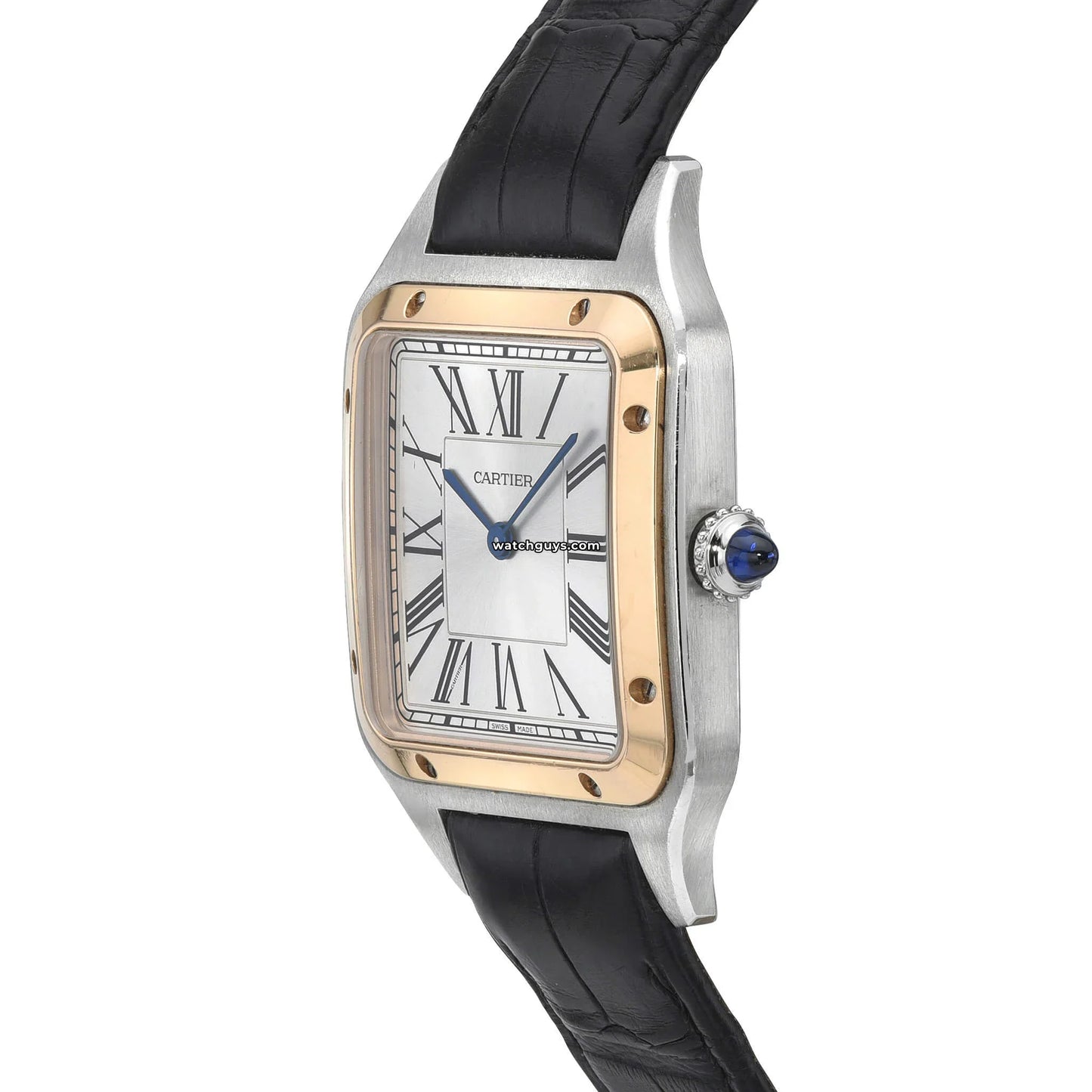 Santos Dumont Large W2SA0011