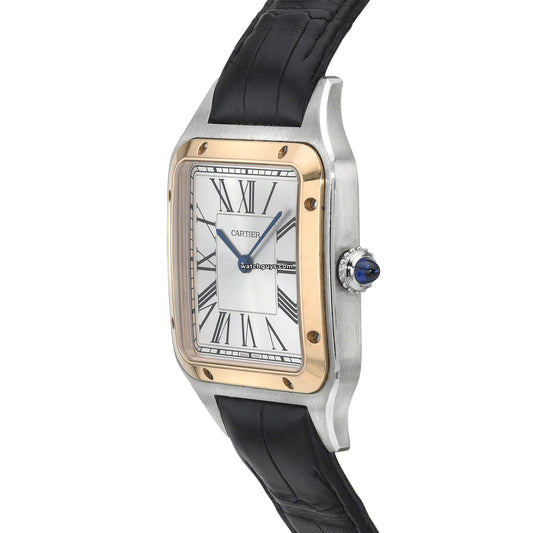 Santos Dumont Large W2SA0011