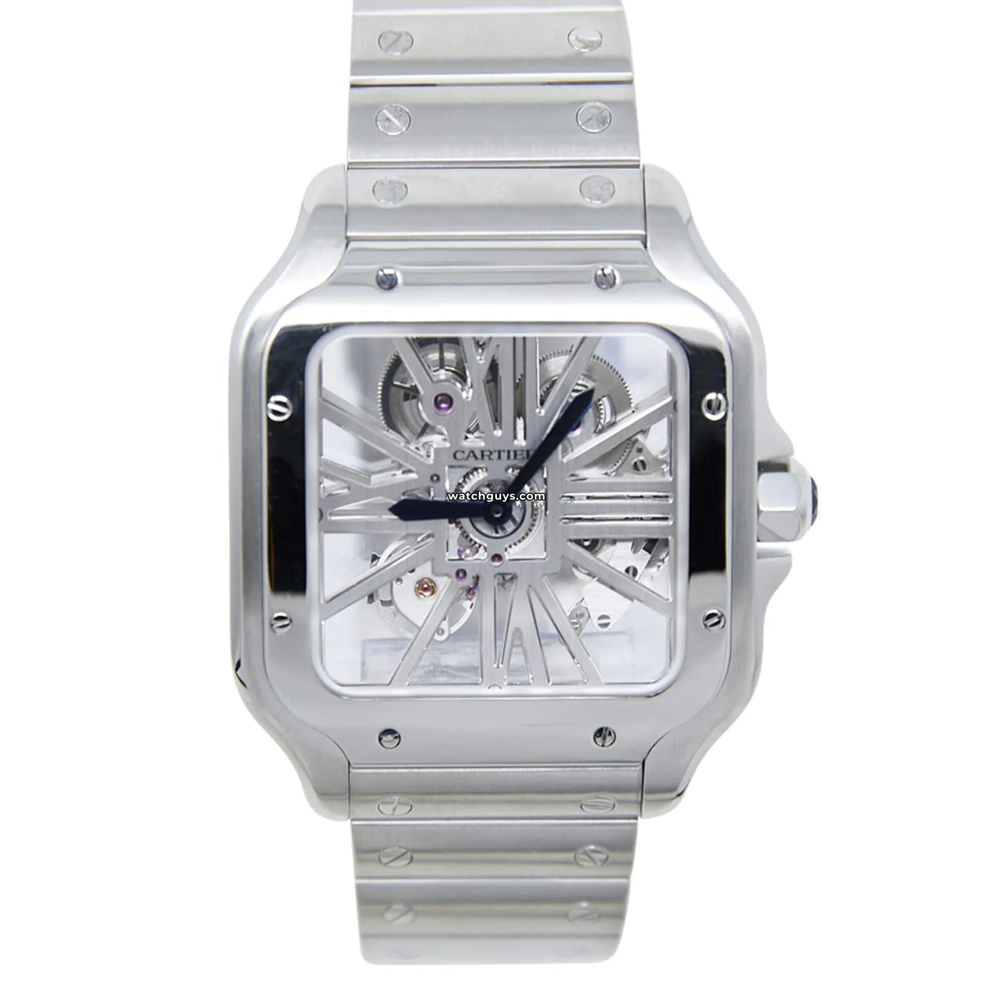 Santos Skeleton Large WHSA0015