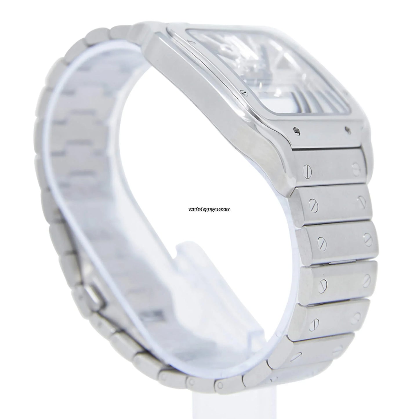 Santos Skeleton Large WHSA0015